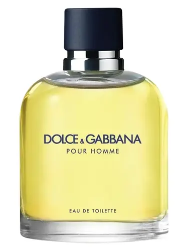 dolce gabbana pour homme