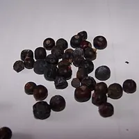bayas de enebro
