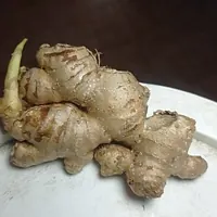 jengibre