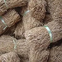Vetiver